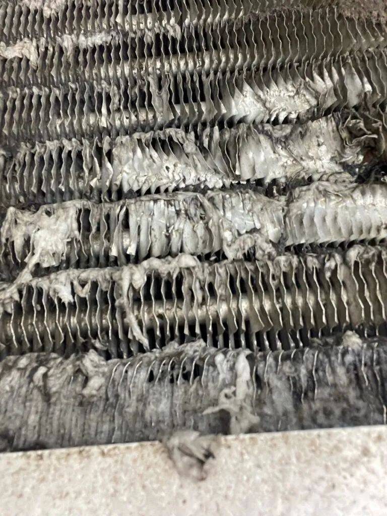 Top 5 Tips for Owners to Maintain Commercial Refrigeration Efficiency